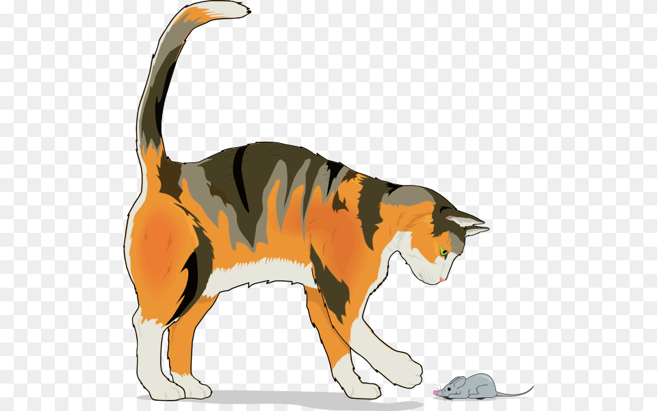 Cat With Mouse Clip Art At Clker Cat And Mouse, Animal, Pet, Canine, Mammal Free Png
