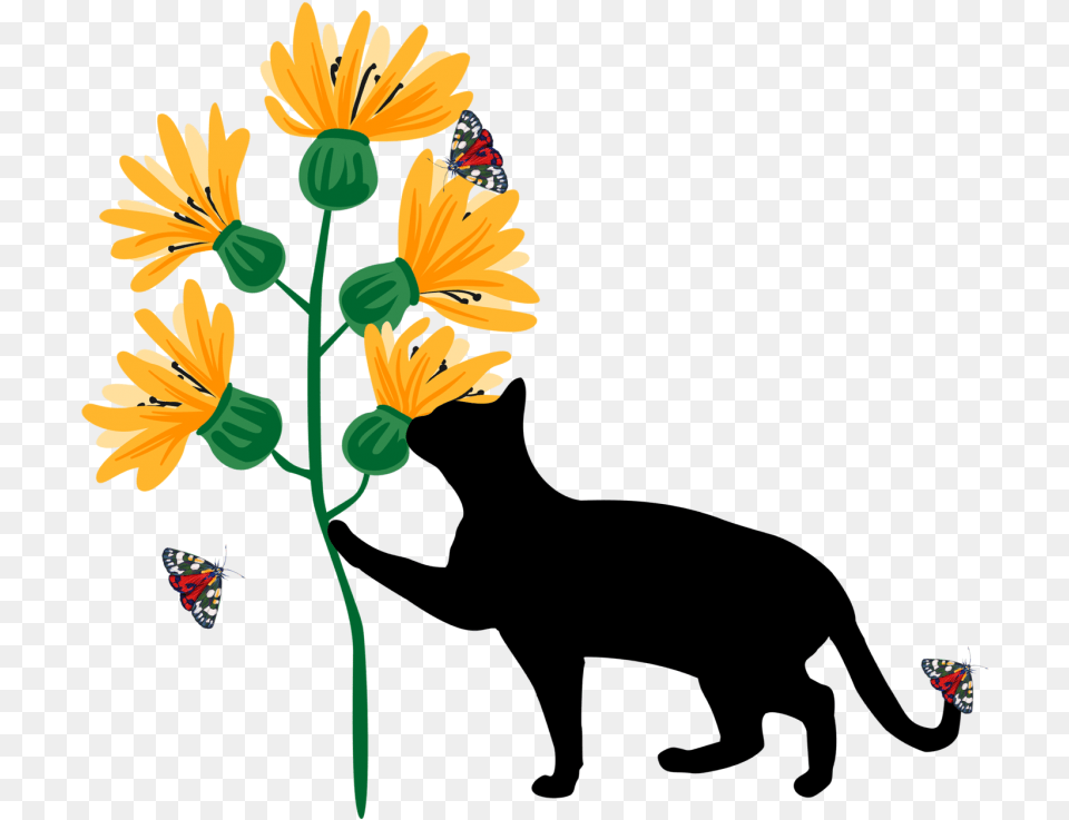 Cat With Sunflowers And Butterflies Nature Transparent Couple Silhouette With Cat, Daisy, Flower, Plant, Art Png Image
