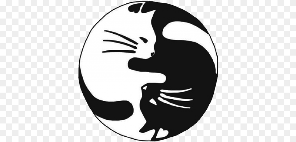 Cat Yin Yang, Stencil, Adult, Female, Person Free Png