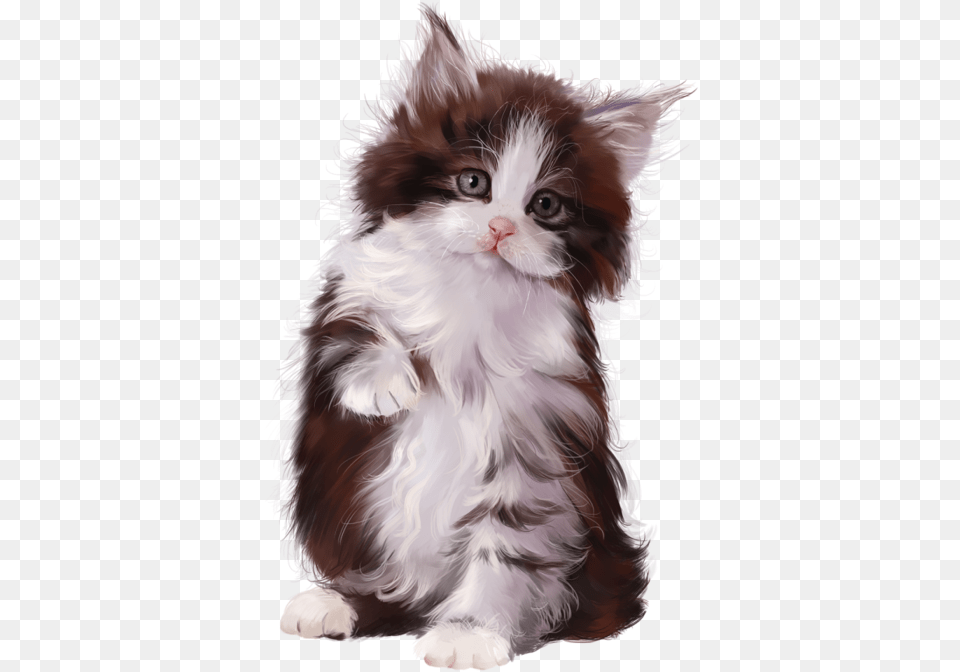 Cat4 Cat Gif Cute Cats Kittens Cutest I, Animal, Kitten, Mammal, Pet Free Png