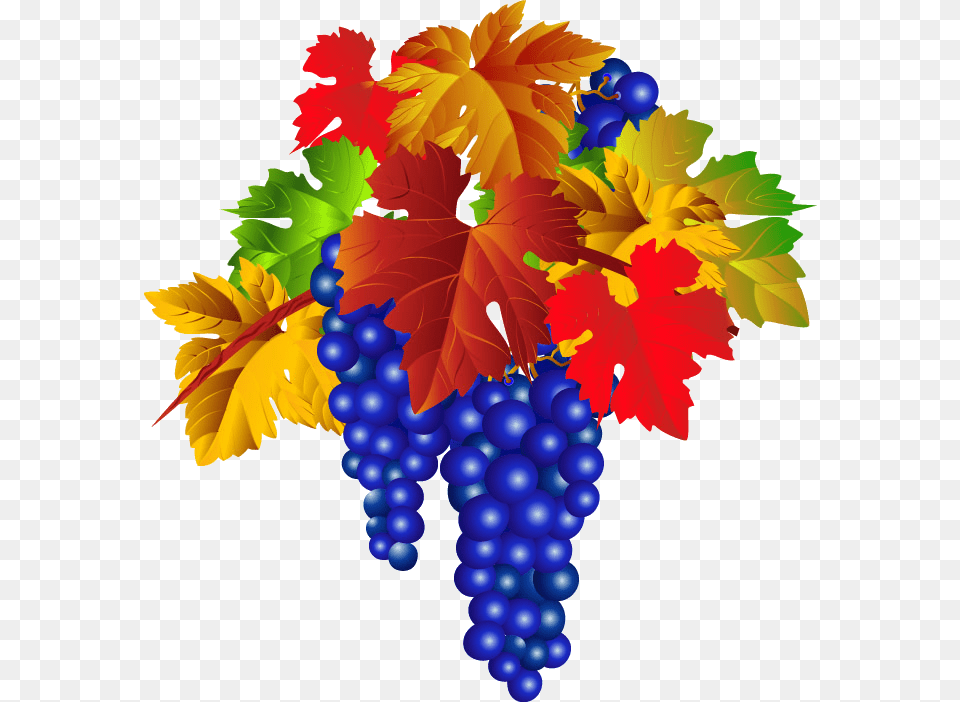 Catalan Grapes Grape, Food, Fruit, Leaf, Plant Png
