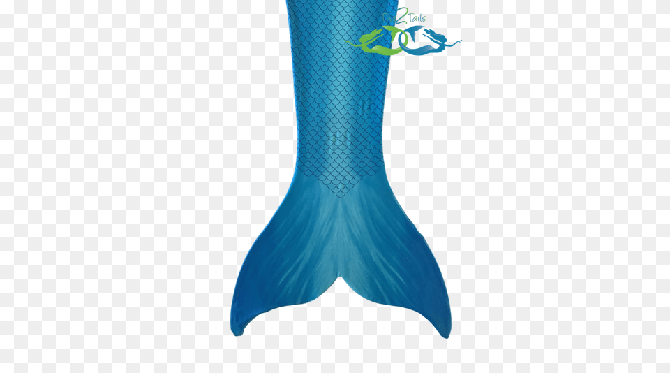 Catalina Sea Blue Adult Tail, Aquatic, Water, Animal, Sea Life Png