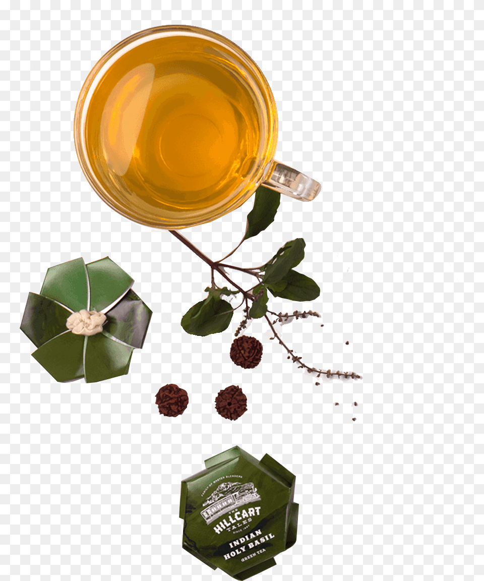 Cataloggreen Teaindian Holy Basil T Graphic Design, Beverage, Tea, Herbal, Herbs Free Transparent Png