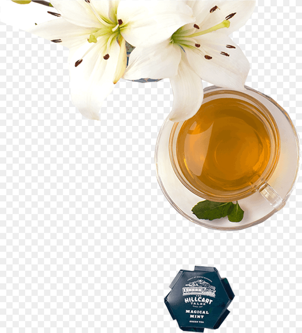 Cataloggreen Teamagical Mint T Glass Bottle, Flower, Plant, Beverage, Tea Png