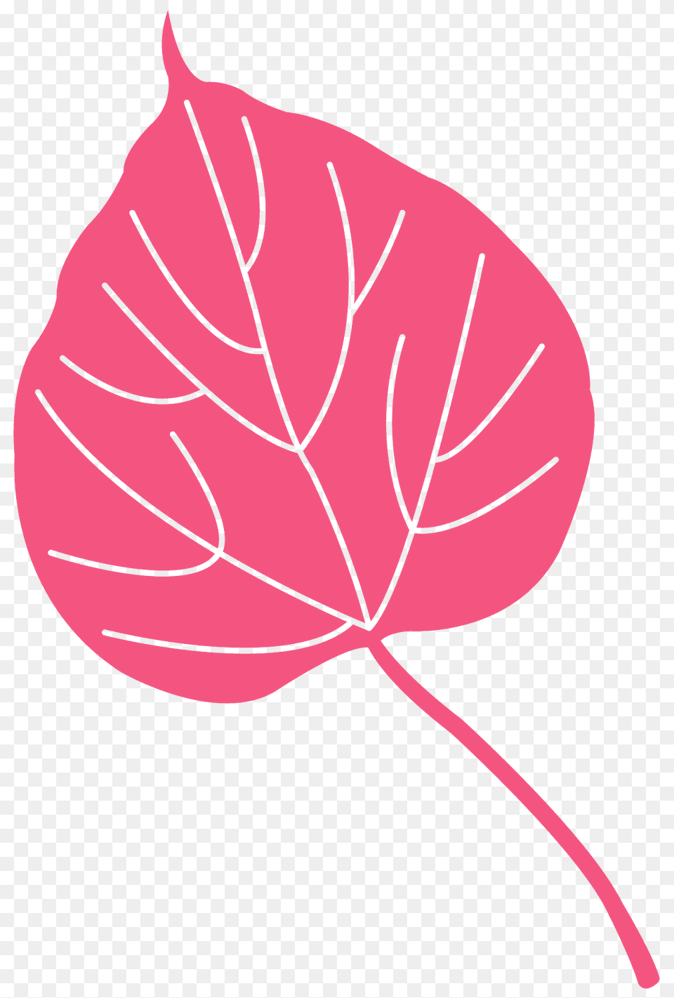 Catalpa Leaf Silhouette, Maple Leaf, Plant, Animal, Fish Free Transparent Png