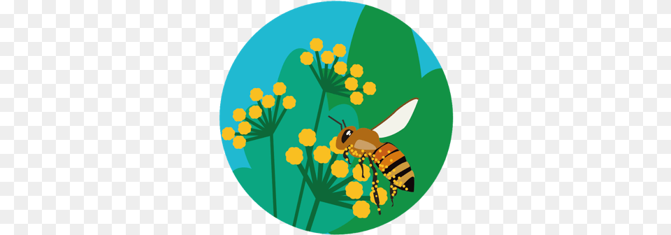 Catastrophic Game Honey Bees, Animal, Bee, Honey Bee, Insect Png