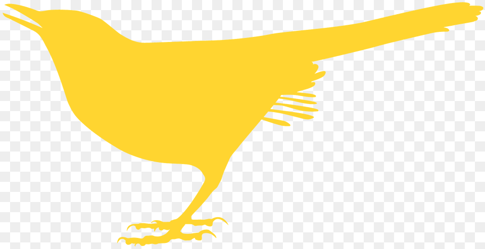 Catbird Silhouette, Animal, Bird, Canary, Fish Free Png