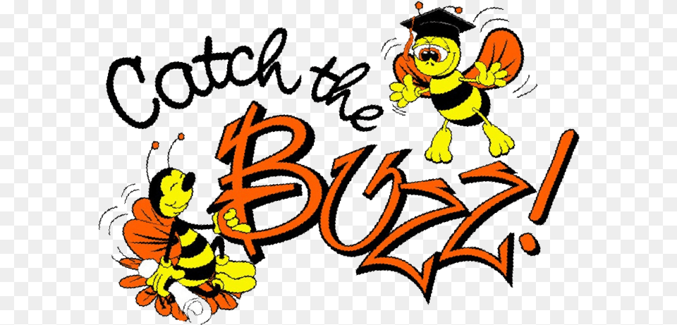 Catch The Buzz Bee Buzz, Animal, Bird, Insect, Invertebrate Png