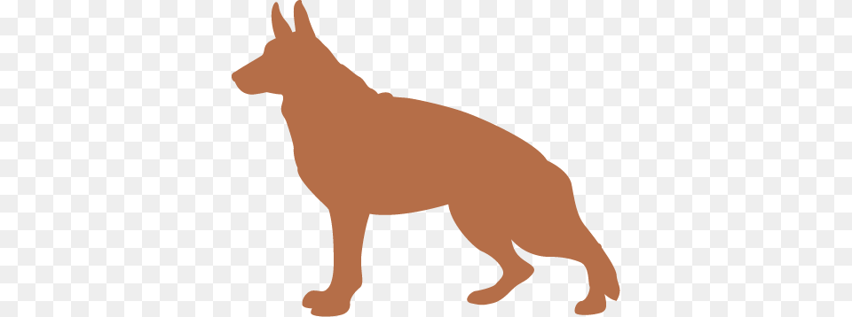 Catch The Kibble Game, Animal, Kangaroo, Mammal Free Png