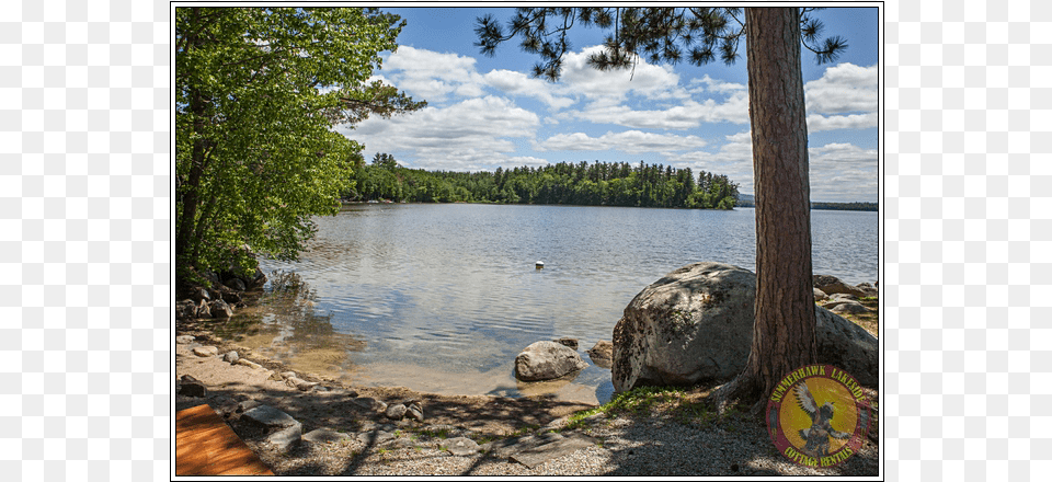 Catcher Summerhawk Lakeside Cottage Rentals Dream Boulder, Nature, Outdoors, Plant, Scenery Free Transparent Png