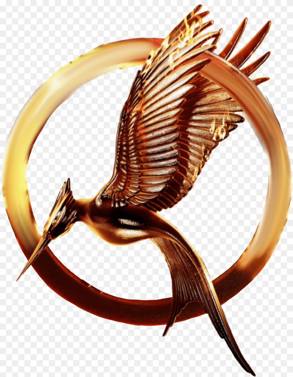Catching Fire Mockingjay The Hunger Hunger Games Catching Fire Pin, Bronze, Animal, Fish, Sea Life Png