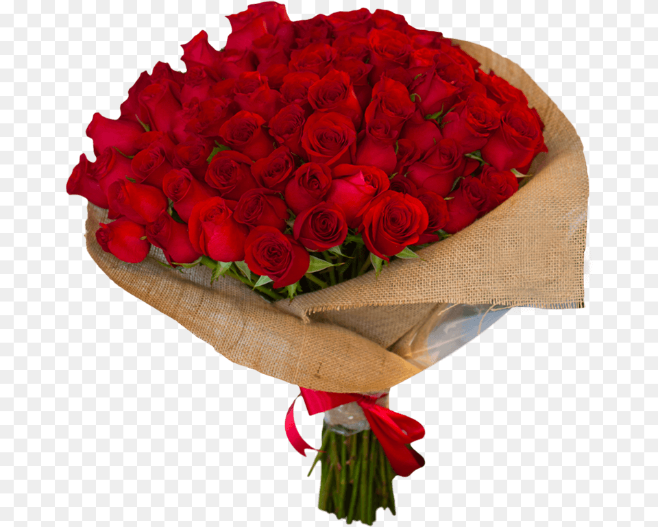 Categorias Rosasromnticos Garden Roses, Flower Bouquet, Rose, Flower, Flower Arrangement Free Transparent Png
