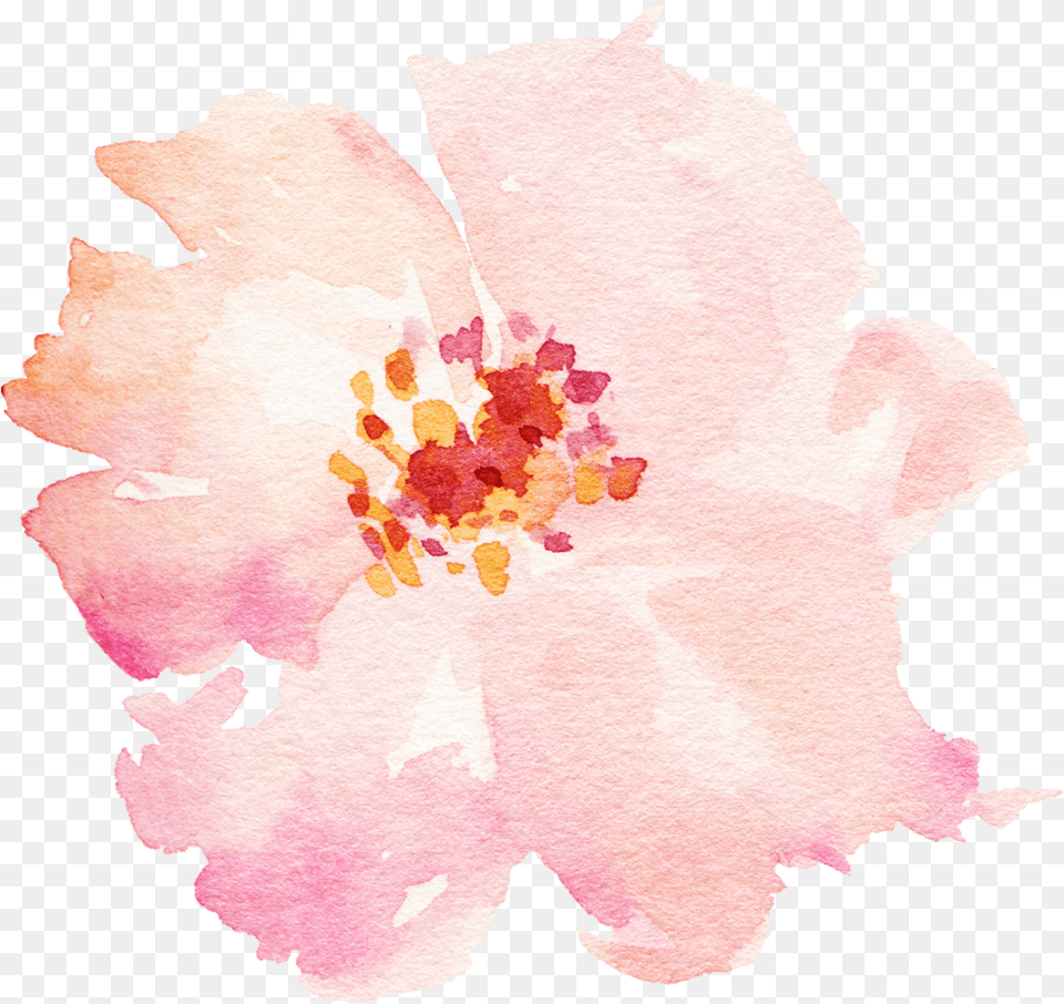 Categories Watercolor Painting, Flower, Petal, Plant, Face Free Png Download
