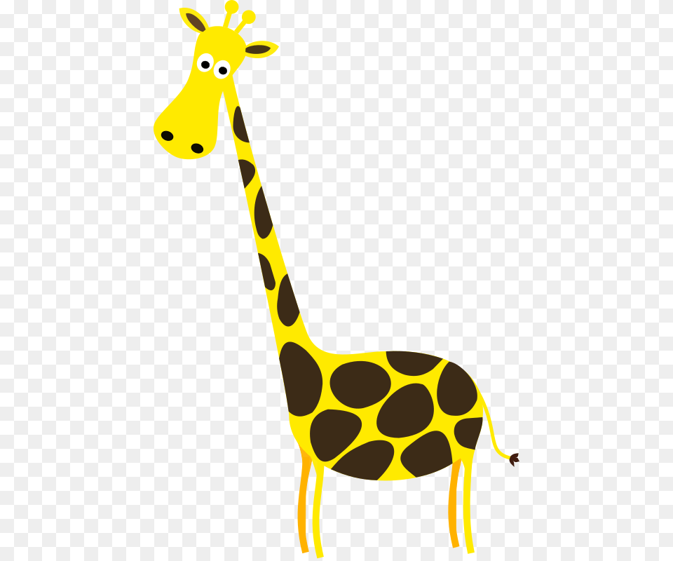 Category Literacy, Animal, Giraffe, Mammal, Wildlife Free Png