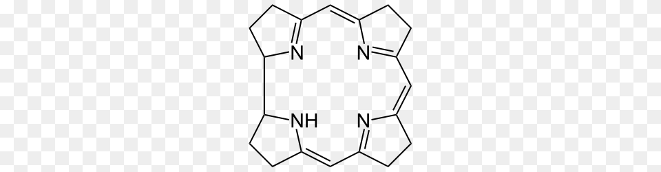 Categorybiomolecules, Gray Png