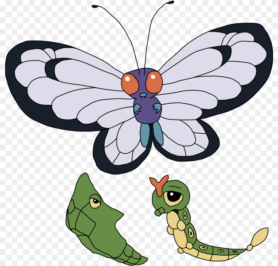 Caterpie Evolution Decorative, Animal, Dragonfly, Insect, Invertebrate Free Transparent Png