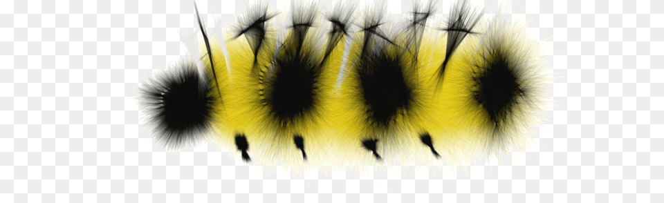 Caterpillar, Electronics, Hardware, Animal, Bee Free Transparent Png