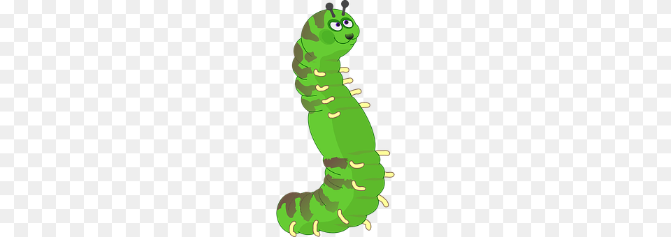 Caterpillar Animal, Invertebrate, Worm, Green Png Image