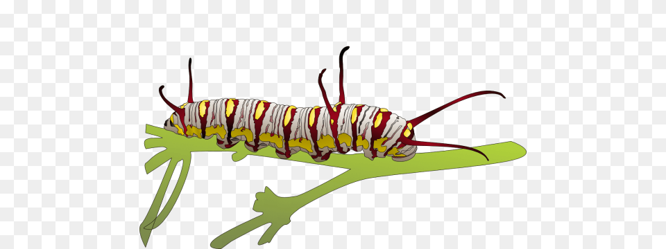 Caterpillar, Animal, Invertebrate, Worm, Fish Png