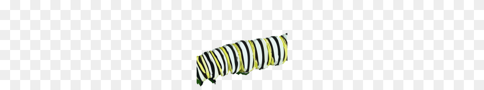 Caterpillar, Animal, Mammal, Wildlife, Zebra Free Png