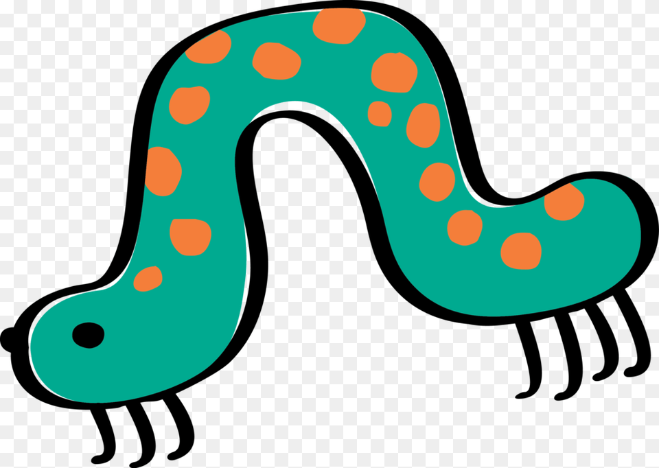 Caterpillar, Pattern, Turquoise, Animal Free Png