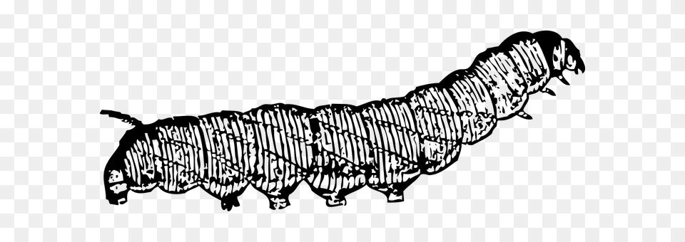 Caterpillar Gray Png