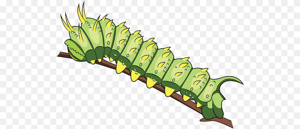 Caterpillar, Animal, Invertebrate, Worm, Bulldozer Free Png Download