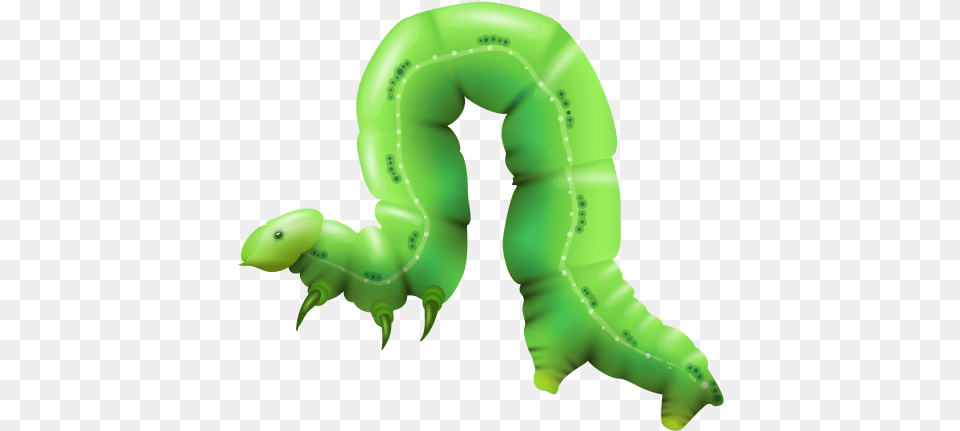 Caterpillar Caterpillar, Green, Animal, Invertebrate, Worm Png