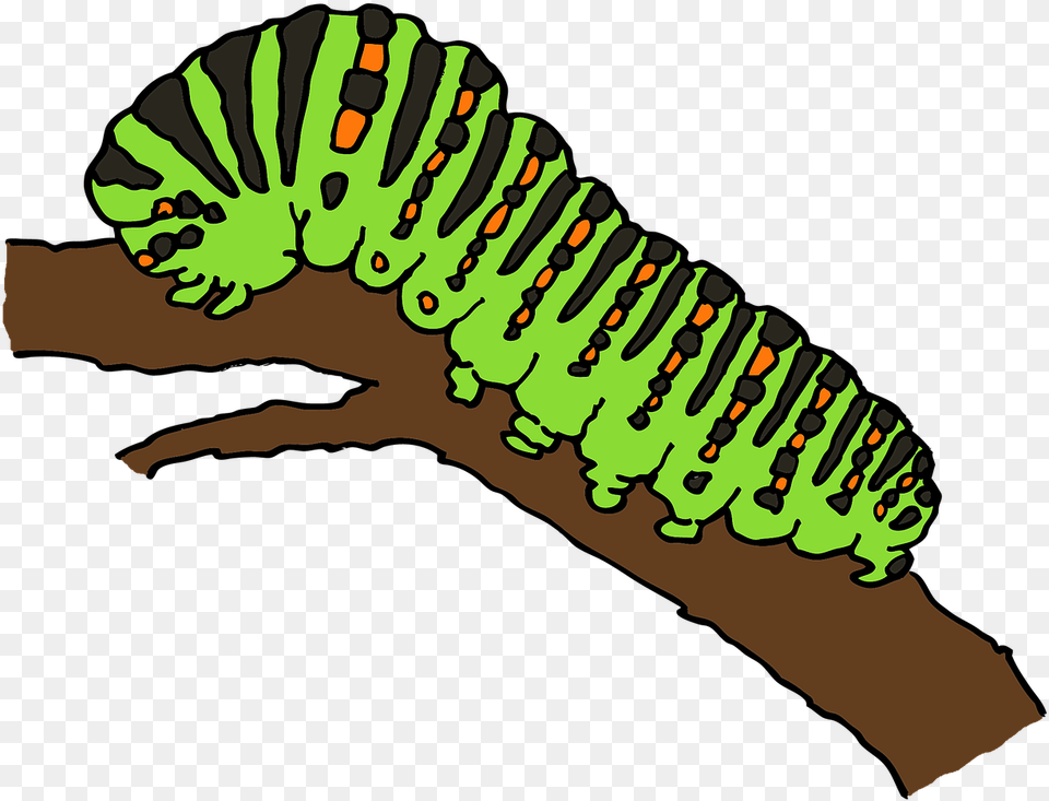 Caterpillar Caterpillar Clipart, Animal, Invertebrate, Worm, Person Free Png Download