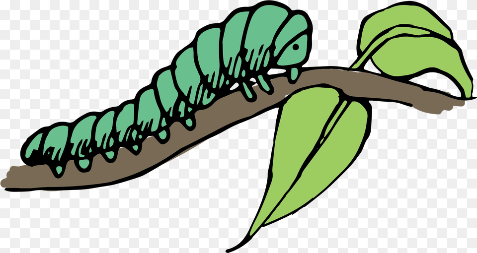 Caterpillar Clip Art, Green, Leaf, Plant, Tree Png Image