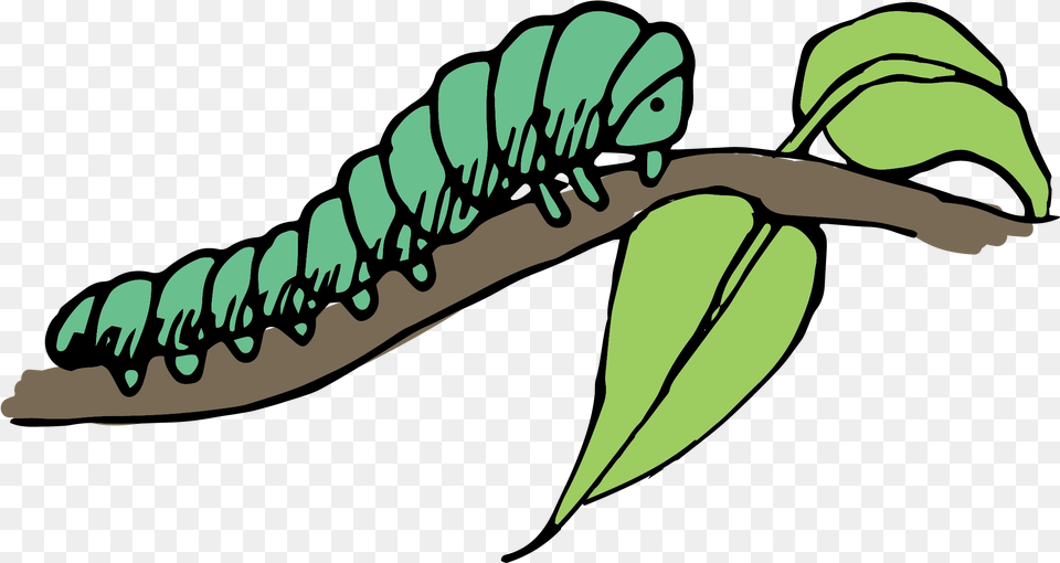 Caterpillar Clip Art Caterpillars Clipart, Green, Leaf, Plant, Tree Png