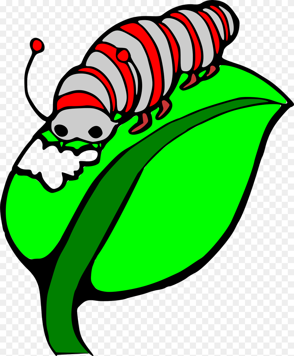 Caterpillar Clipart, Green, Leaf, Plant, Animal Png