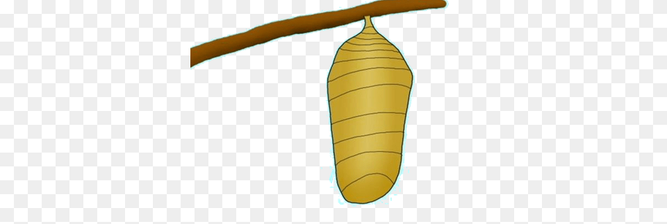 Caterpillar Clipart Cocoon, Carrot, Food, Plant, Produce Free Png Download