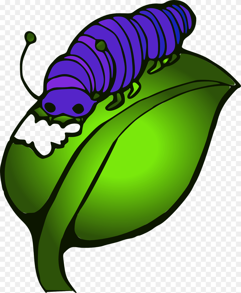 Caterpillar Eating Leaf Clipart, Animal, Invertebrate, Worm, Bee Png Image