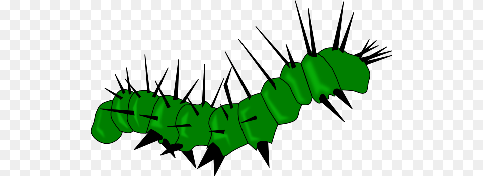 Caterpillar Insects Images Green Free Png Download