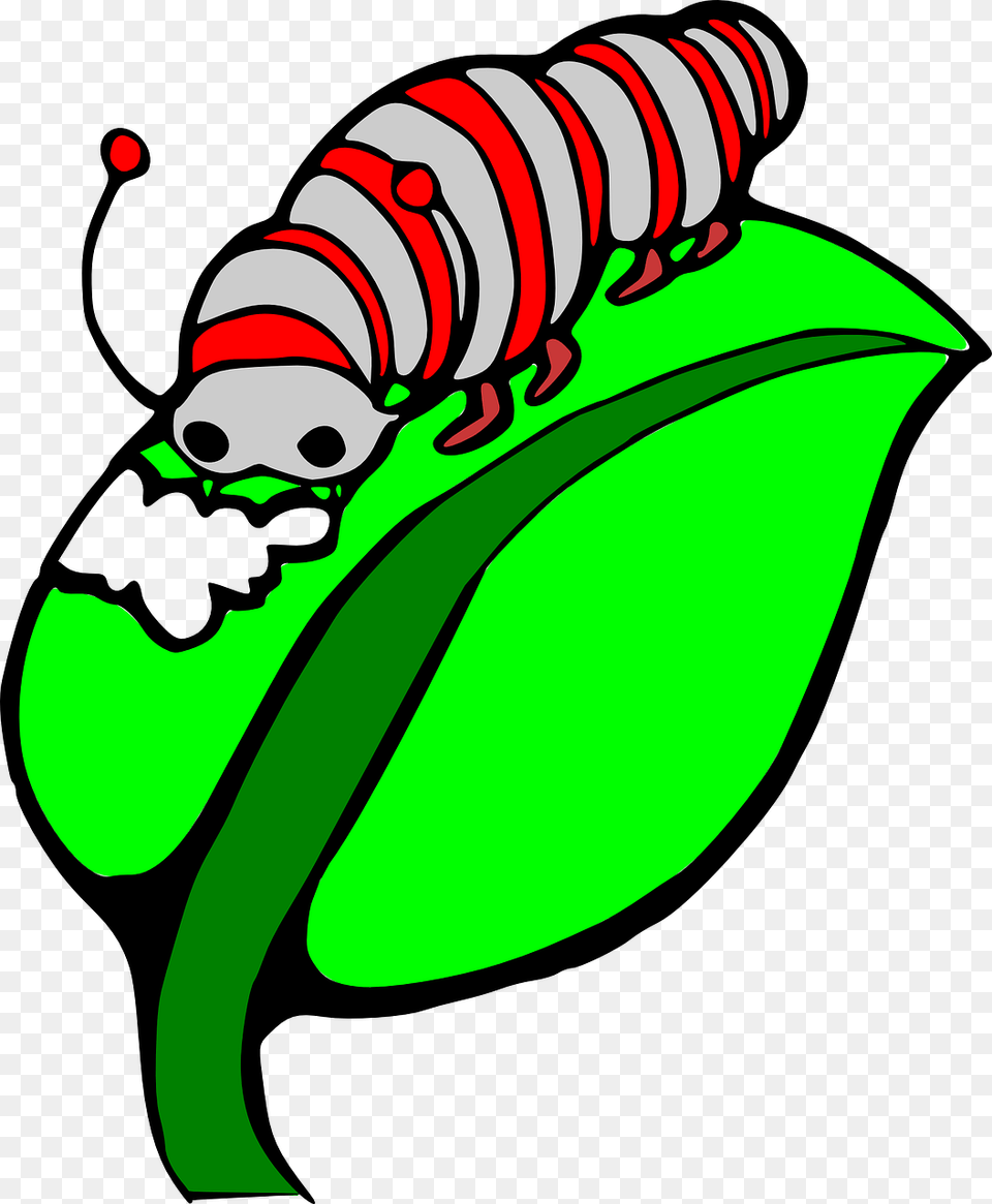 Caterpillar On A Leaf Clipart Panda Images Caterpillar Eating Leaf Cartoon, Green, Animal, Invertebrate, Worm Free Transparent Png