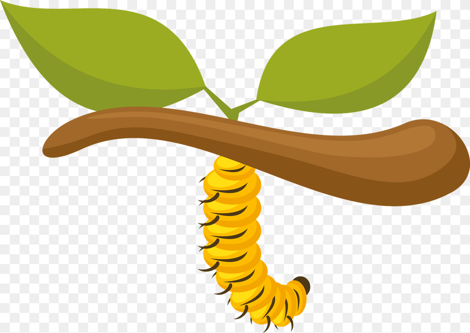 Caterpillar On Branch Clipart, Fruit, Banana, Produce, Plant Free Png Download