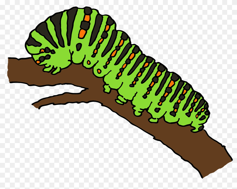 Caterpillar On Branch Clipart, Animal, Invertebrate, Worm Free Transparent Png