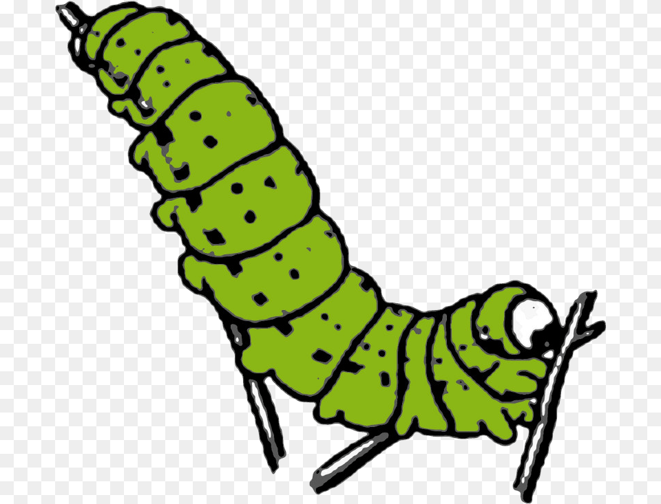 Caterpillar Photo Background Caterpillar Clipart, Animal, Invertebrate, Worm, Nature Free Transparent Png