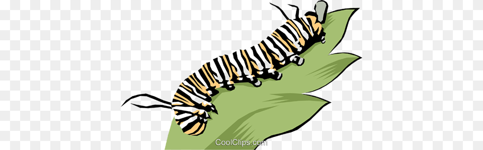 Caterpillar Royalty Vector Clip Art Illustration, Animal, Mammal, Wildlife, Zebra Free Png