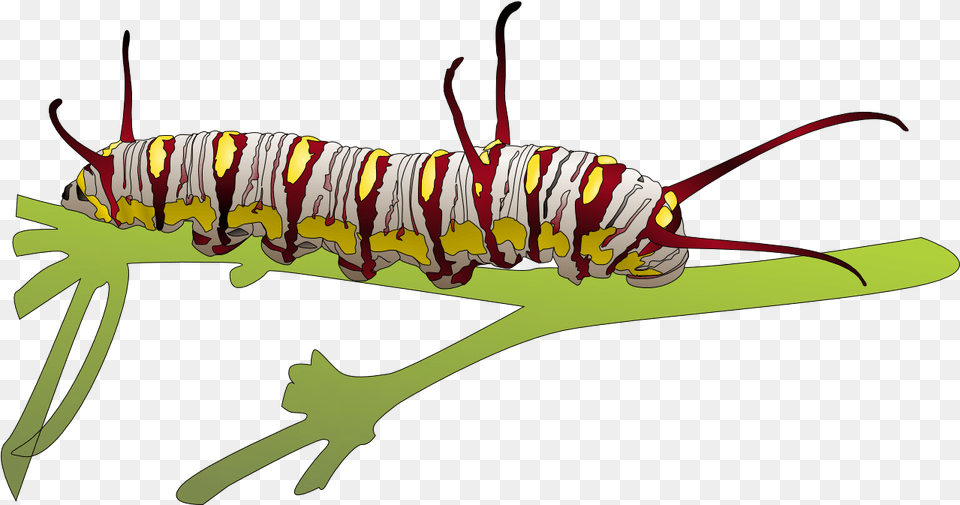 Caterpillar Transparent Images Higad Clip Art, Animal, Invertebrate, Worm, Fish Free Png