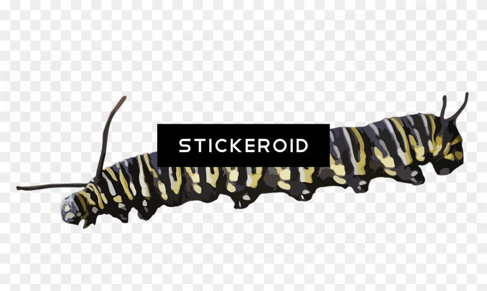 Caterpillar Yellow Black The Very Hungry Caterpillar, Animal, Bee, Insect, Invertebrate Free Png