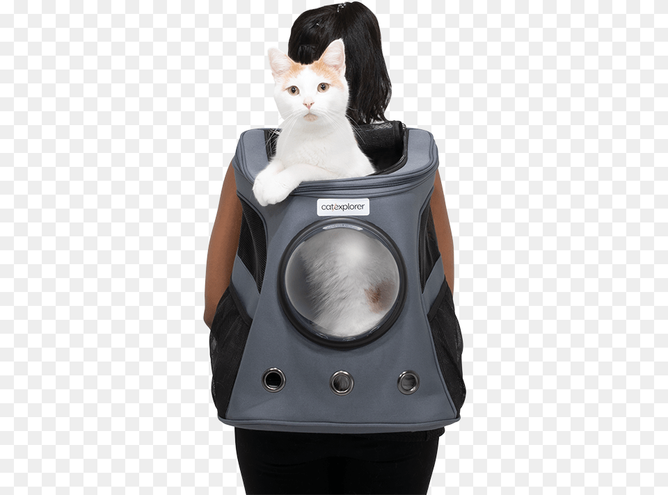 Catexplorer 1 May 19 0290 1200px Domestic Short Haired Cat, Bag, Animal, Pet, Mammal Png Image