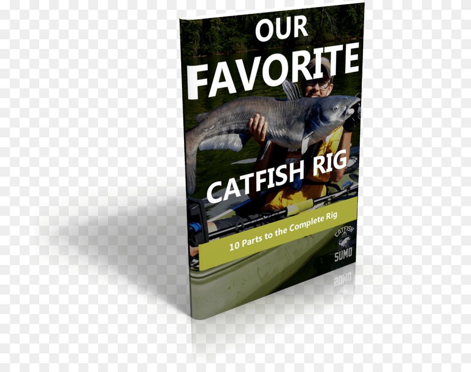 Catfish, Animal, Fish, Sea Life, Adult Png Image