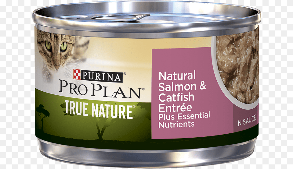 Catfish, Aluminium, Can, Canned Goods, Food Free Png