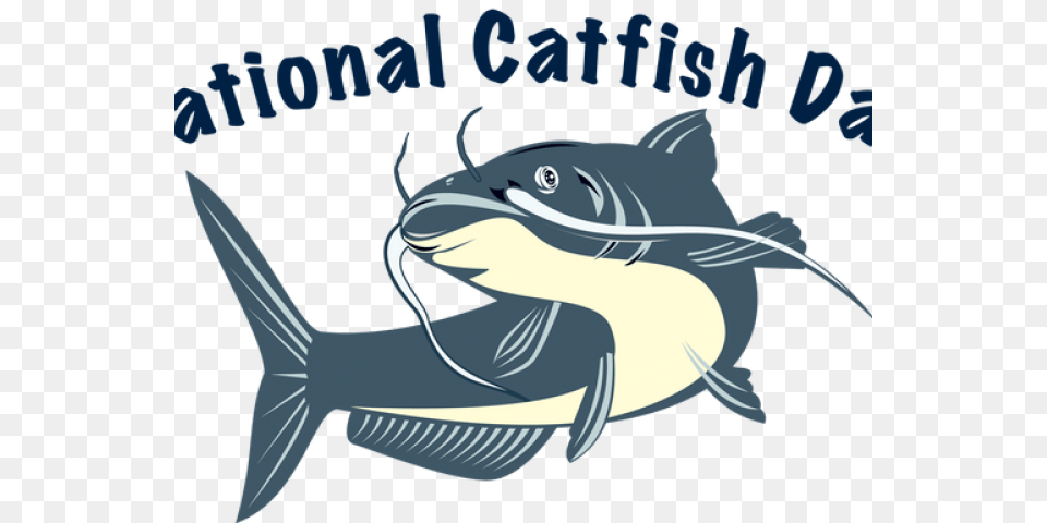 Catfish Cartoon Download Vinyl Catfish Decal, Animal, Sea Life, Fish, Person Free Transparent Png