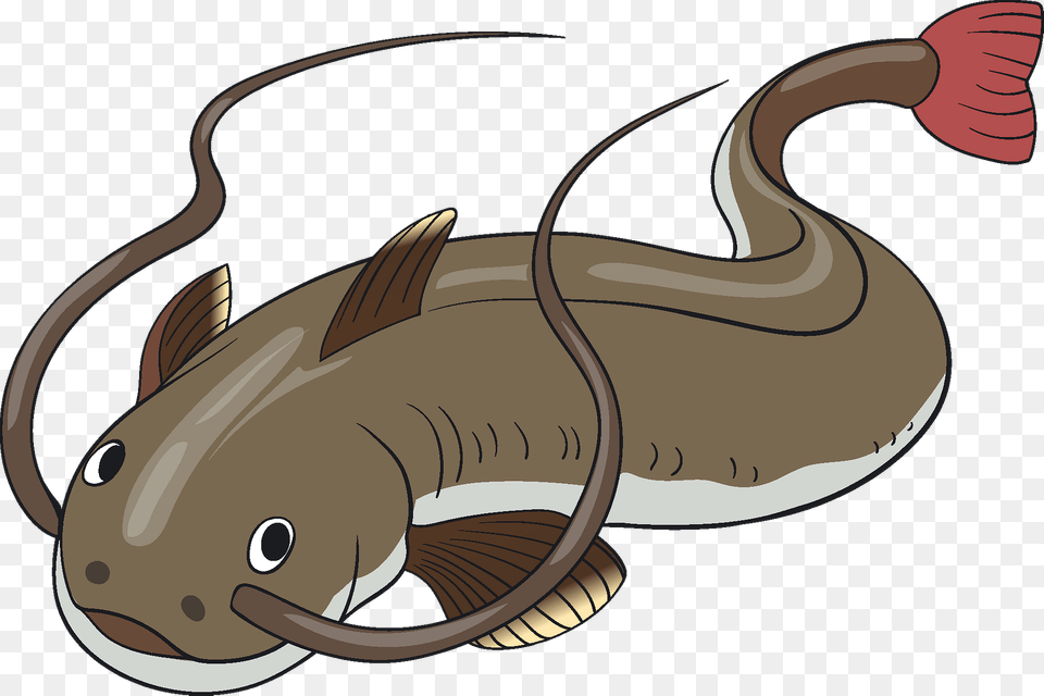 Catfish Clipart, Animal, Fish, Sea Life, Kangaroo Png