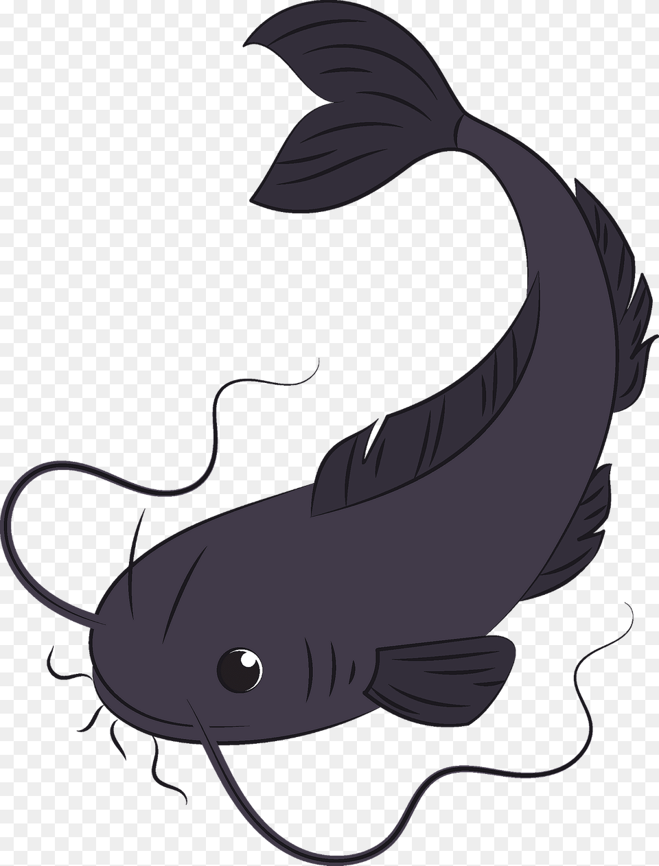 Catfish Clipart, Animal, Sea Life, Fish, Shark Png Image