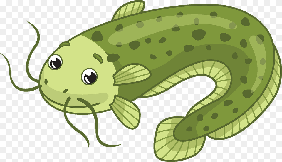 Catfish Clipart, Animal, Fish, Sea Life, Shark Png Image