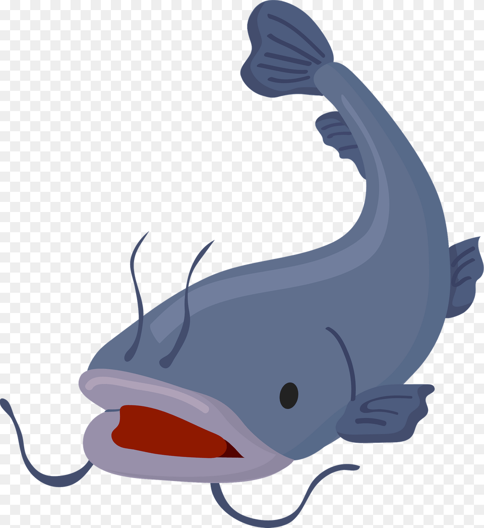 Catfish Clipart, Animal, Sea Life, Carp, Fish Png